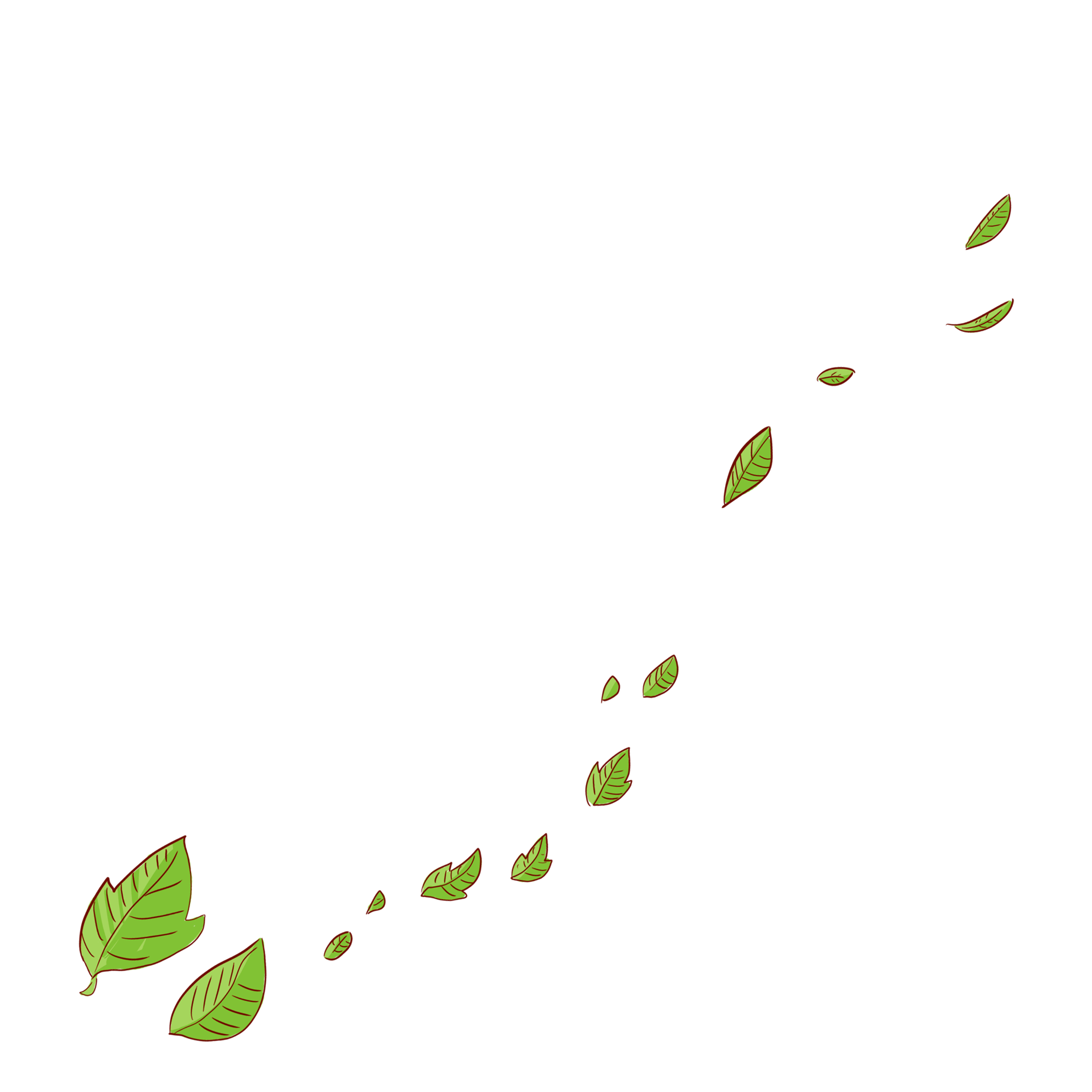 ecoleaf